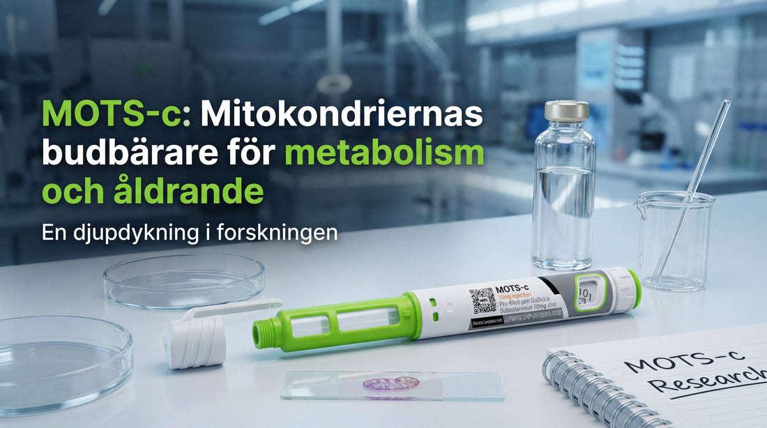 MOTS-c peptid – mitokondriepeptid för metabolism och longevity